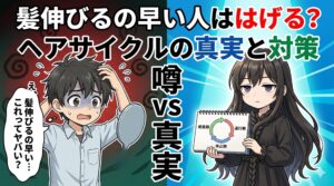 髪伸びるの早い人ははげる？ヘアサイクルの真実と対策