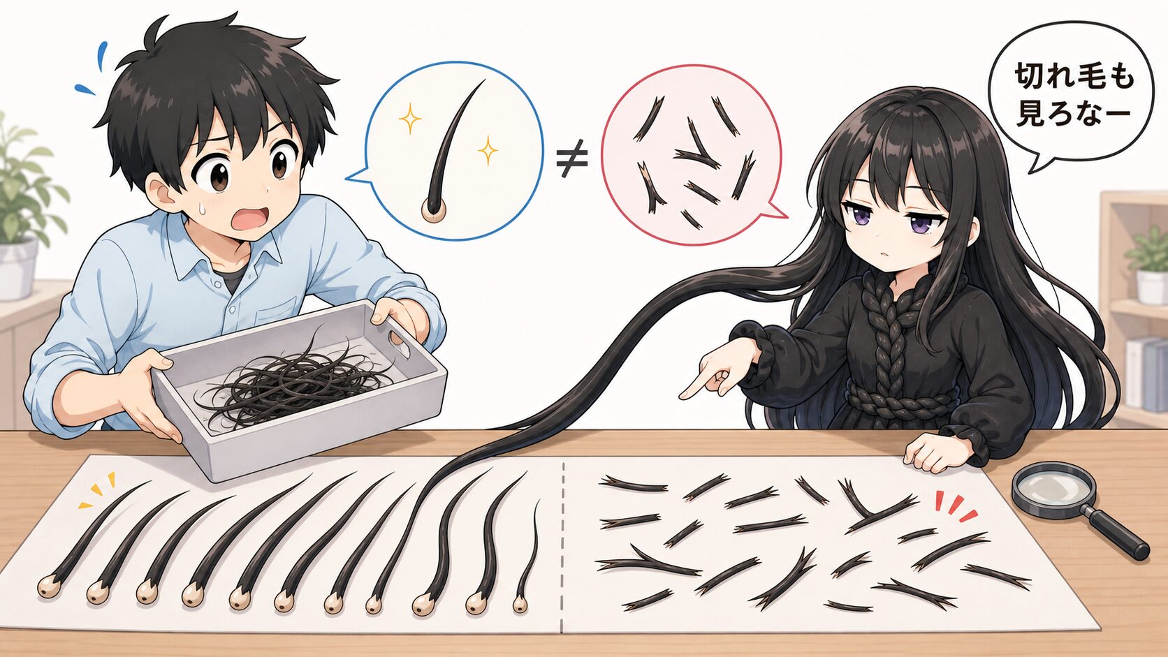 酢リンス後の切れ毛と抜け毛の違いを確認しているイラスト